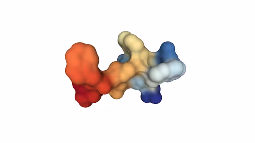 Item #47350829909543671371603060769853362682429688600975311335895424149389133742081 Media