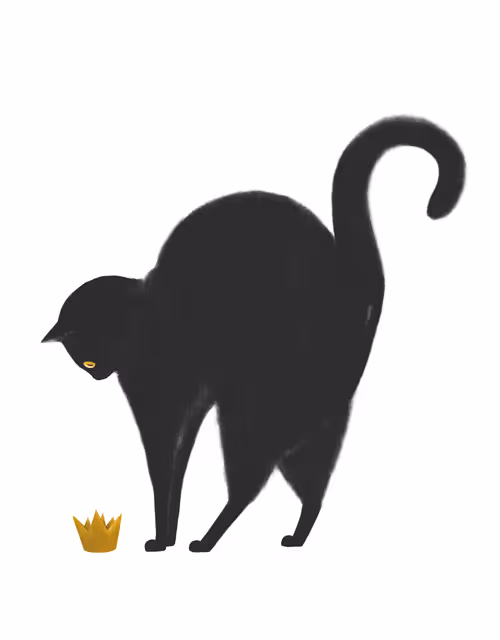 Item #24618594739772325081071012251968077253983773594612099830659053227177173581827 Media