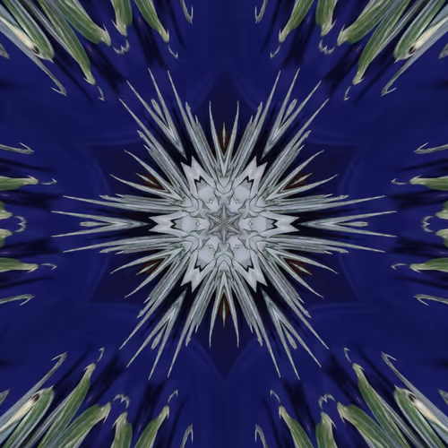 Item #35659405068299771030419429658448023914742577265818948421093292324241528586241 Media