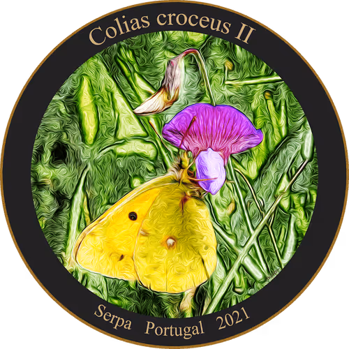 Item #83346383481971607988729477170446348570292642791419063456680174178089668968449 Media