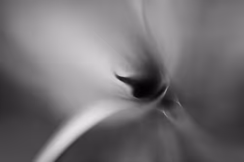 Item #102332330010392241424483100560917049247298654134596954223831831434024609382401 Media