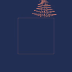 Fern Study 05