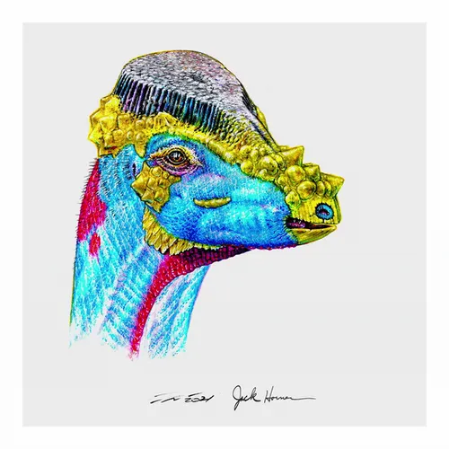 Item #22582927822880265950669941219355019494534003366966592492782895296247500898305 Media