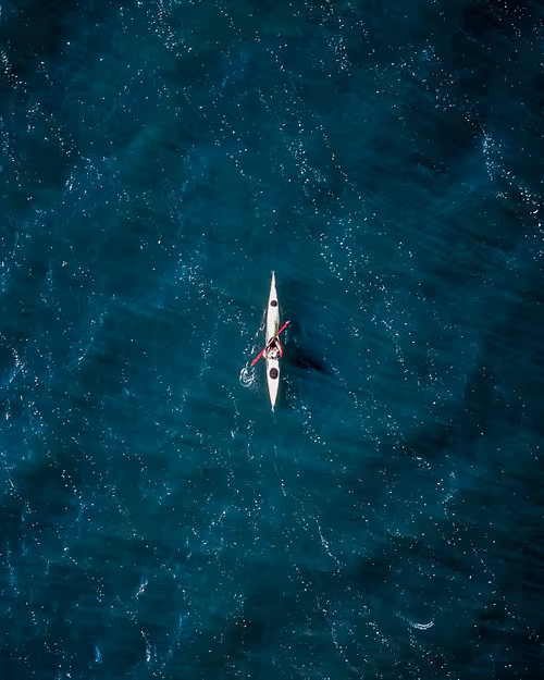 Item #100600280271040798317723628260513137156606623100883316454227271986929268162561 Media