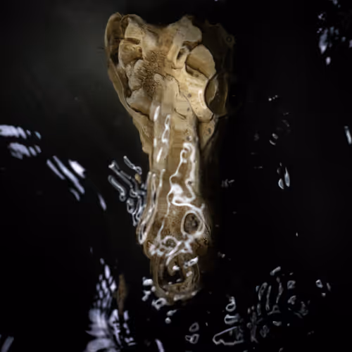 Genesisunderwater
