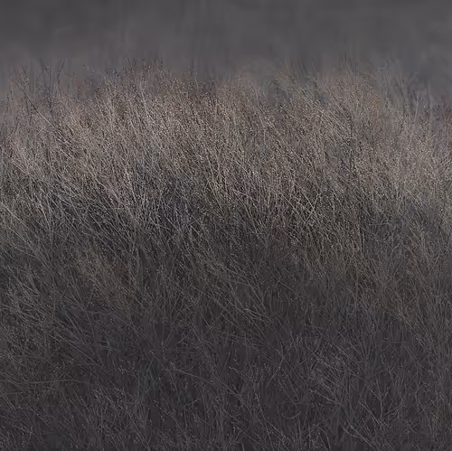 Item #111819353391232385355292732865064309059161123936801669989557009003110819954689 Media