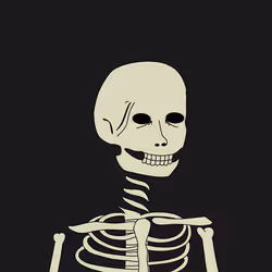 Bones