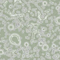 87353216888022099964370645107572389874129925836752805213271095469356833832961