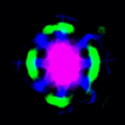 51929734946411346289540790635765095060363125039145709683616697102381636124673