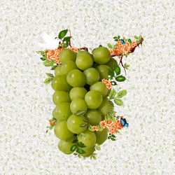 2807211227970753094502405668608491016000177280909678085042861381699126689793