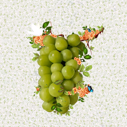 2807211227970753094502405668608491016000177280909678085042861381699126689793