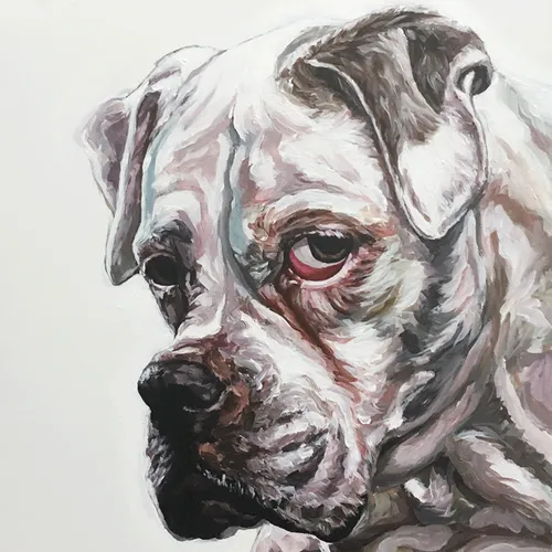 Item #111426397768687495074212779570464875826872703160422642189858348528802528755713 Media