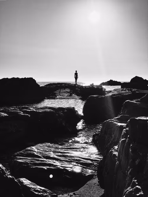 Item #17491933445981950493603605201939822143200868578689851698191638453202171461633 Media