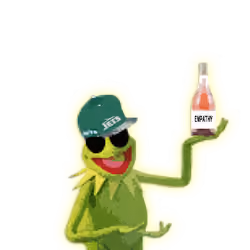 #5 Kermit Vee