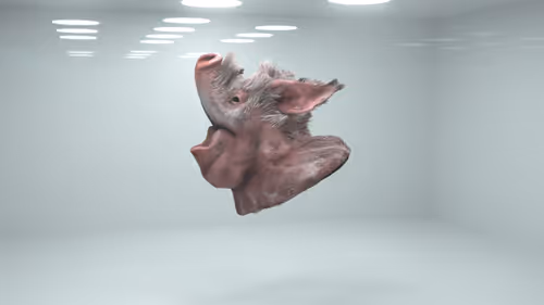 Item #5838108290533253437951364494041676799207122373524778645282948100313686474753 Media