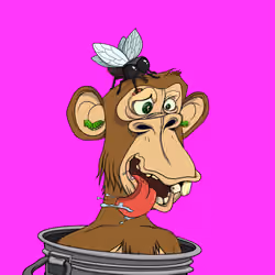 Loser Ape #26450