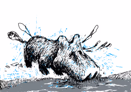 Item #82293076125669841376249039216833031003947323509505103324214470733447747862529 Media