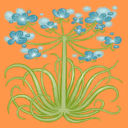 bloom 66