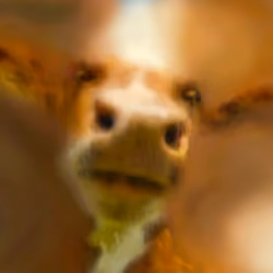 Cheeky Cow #2