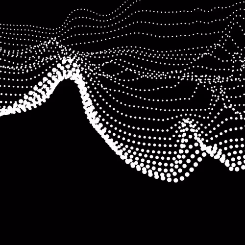 galeria-guanaco Collection