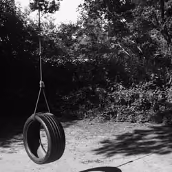 Tyre Swing