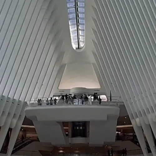 CryptoHighNFT Collection - old