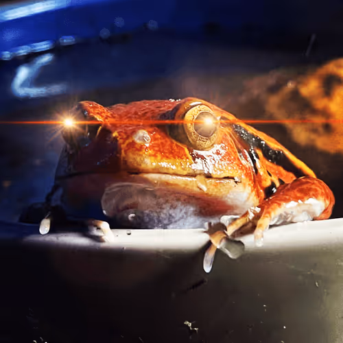 Untitled Collection #287377636