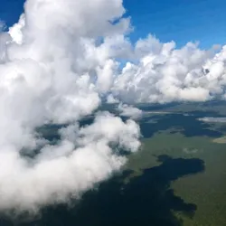 Motion Cloud #7