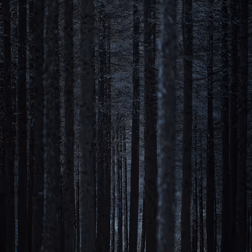 Item #111819353391232385355292732865064309059161123936801669989557009004210331582465 Media