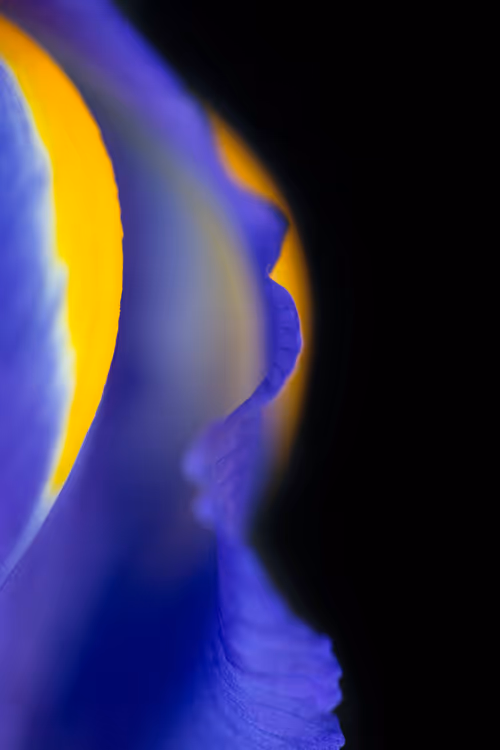 Item #24632583837492670092599633934589483131746797002802219579488358143735055253505 Media