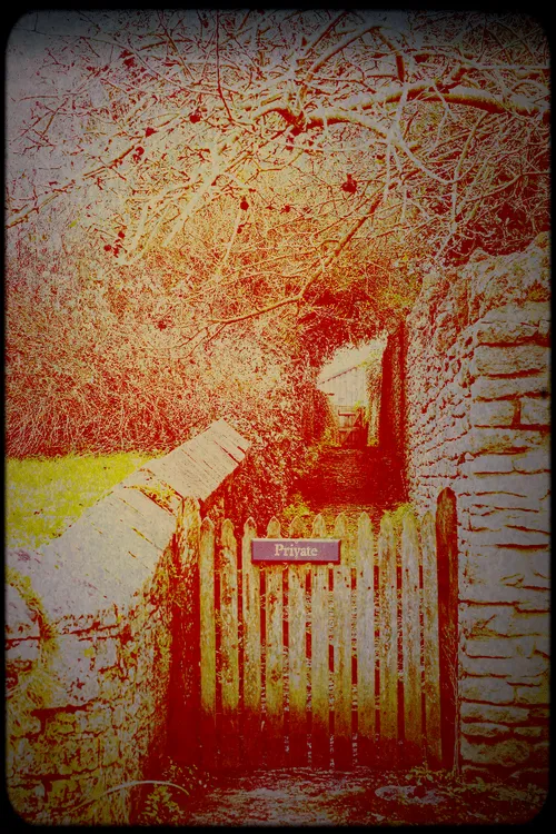 Item #95930744612989253264341458363878669706731092846429446161851758993850637484033 Media