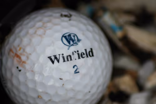 Item #51124555051901614330264480006545612592022390906904121289505624506333631873025 Media