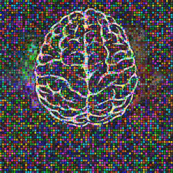 Brain#108