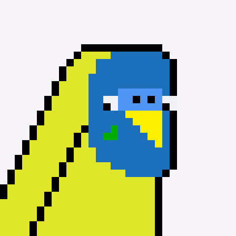Budgie #080