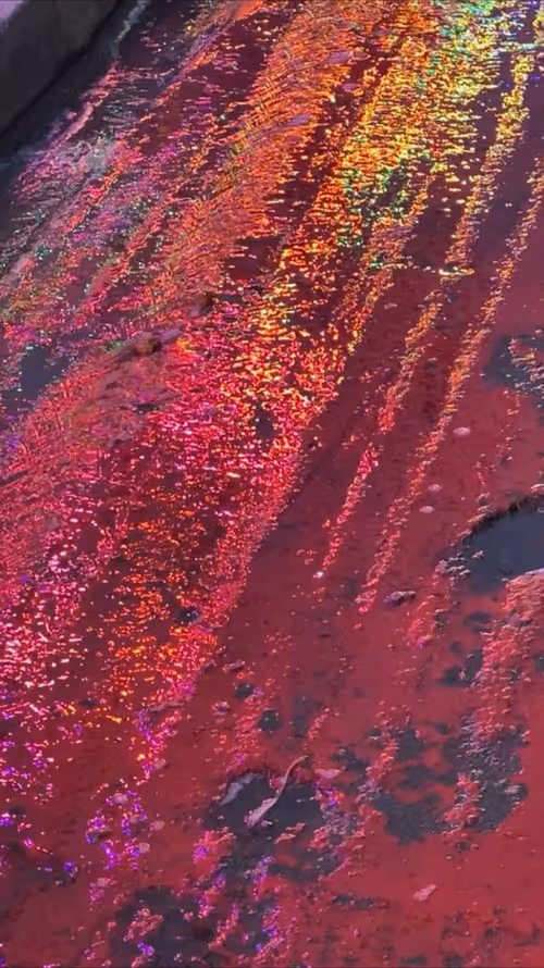 Item #62402000334580523921237358418718502457721815832787791947048085145263015985153 Media