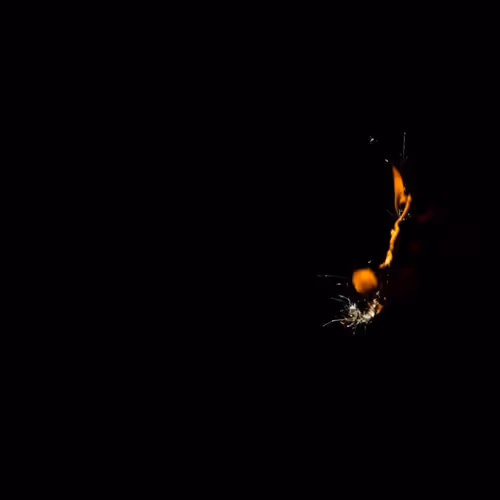 Item #87862004148665251567242837135864430286388577986078998270621526737045375942657 Media