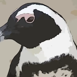 penguins looking for you 3