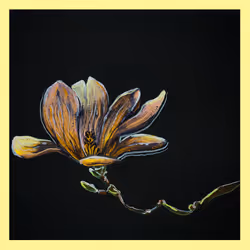 5779281467826994107992422148601232503379904017104496064971971808746683760641