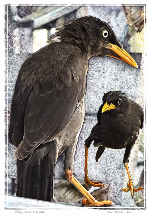 Item #113829610119937179277145653237989536661159515398728099625049874721637729828964 Media