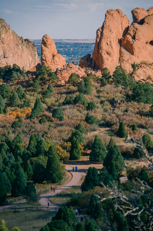 Item #83625231168864970045539605410069256261495624931970233410894617903482493992961 Media