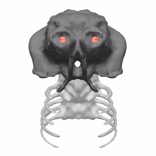 Item #91424983971566300773513476046080503882242609555647300750695752082895212118017 Media