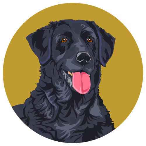 Item #54766349128176429303044182404049584425310907481653304317570413778100216135681 Media