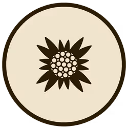 43146523161913970775654449509921564474344972767913577800200540955531072765953