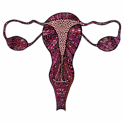 28824502245252267217549902857601847351510039266873569823091148372335132672001