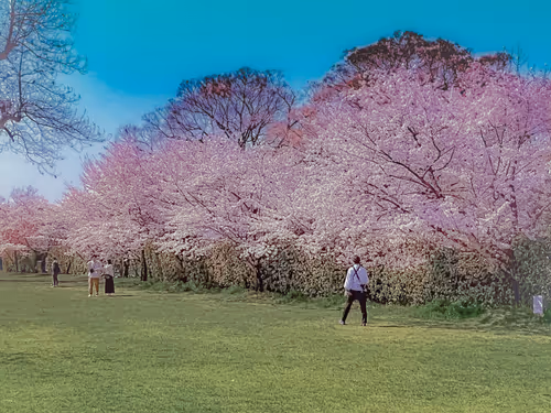 Item #26309083901545567454709889211670292098627789932924015051489478944881773641733 Media