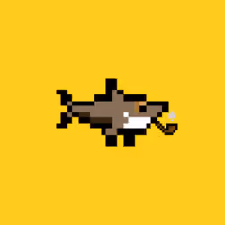 SharkWeird #69
