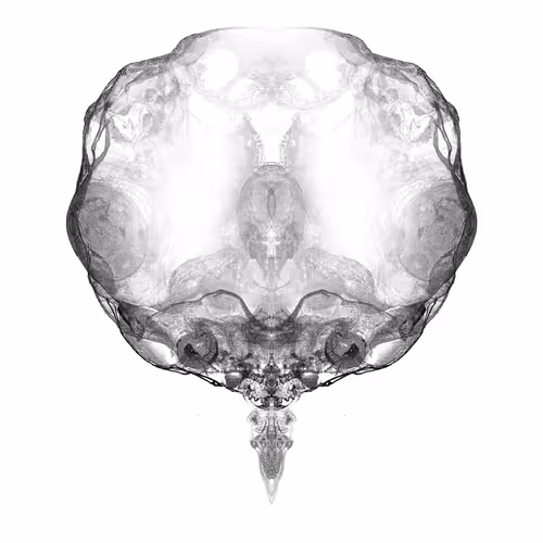 Item #85859191866638808365331437874953228966785819470149775310971061572666505822209 Media