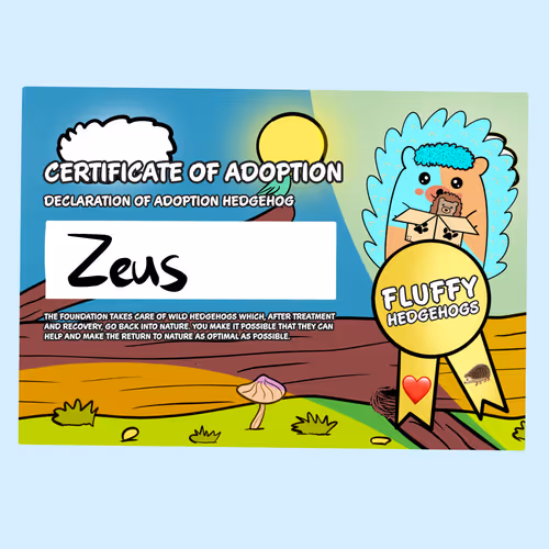 Item #82568299303928421953913761626182899451350454358972335949111842601596616704001 Media