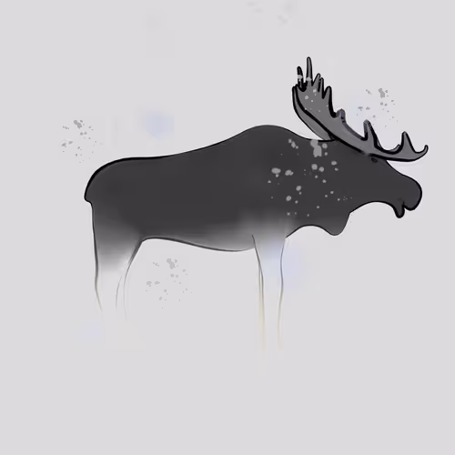 Item #69138463628055130752926986854805628699680031496795916797807466090858931027969 Media