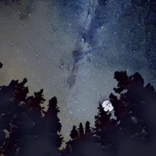 Item #81432545647000425324263784989265008007621652309646222317646499148972829966337 Media